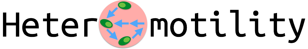 Heteromotility Logo