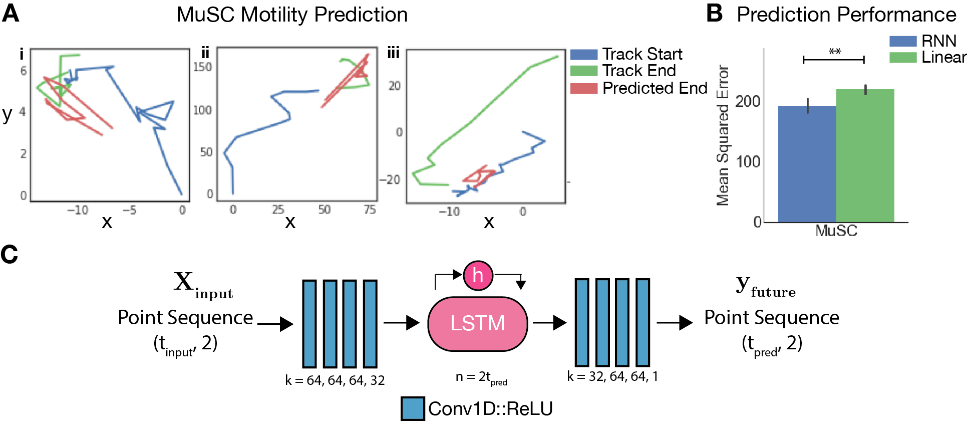 Cell motility prediction RNNs.