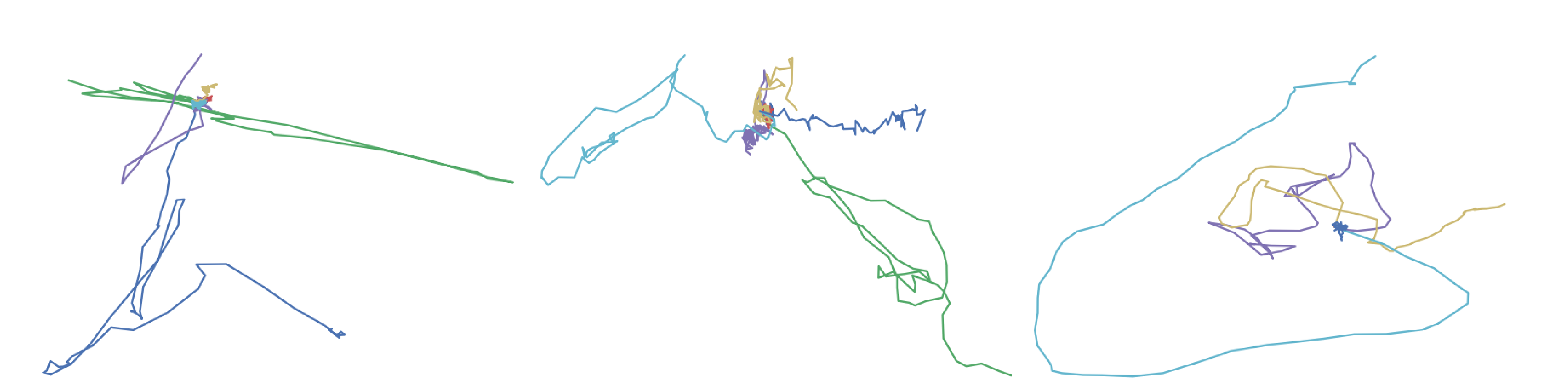 MuSC cell paths abstract