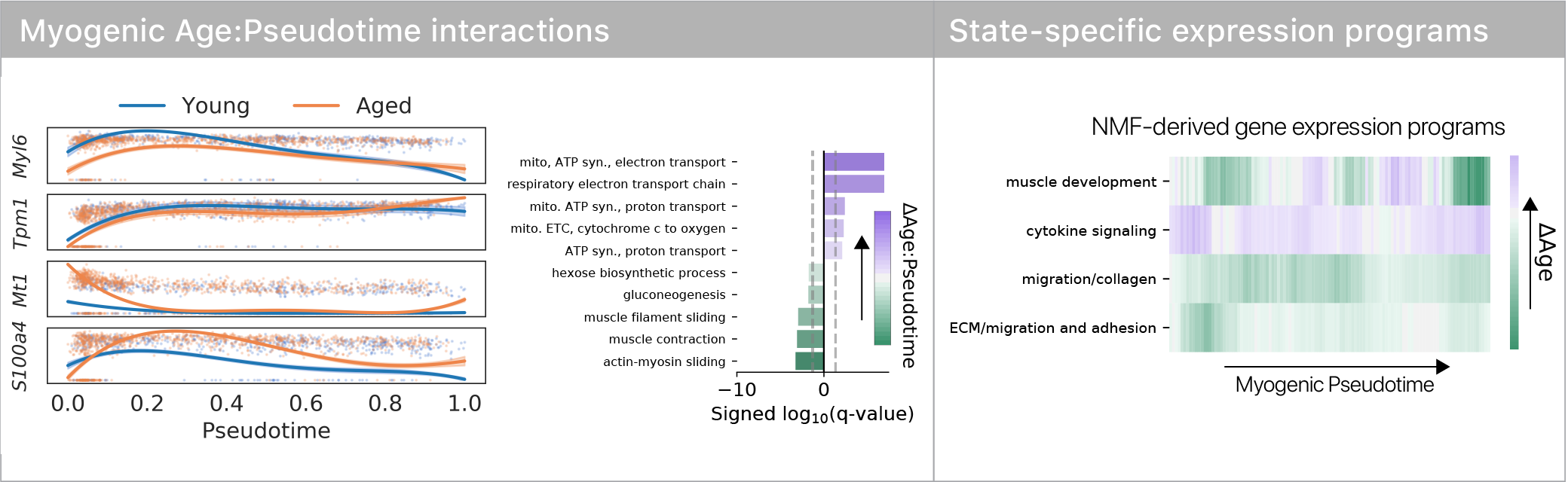 Differential expression across pseudotime