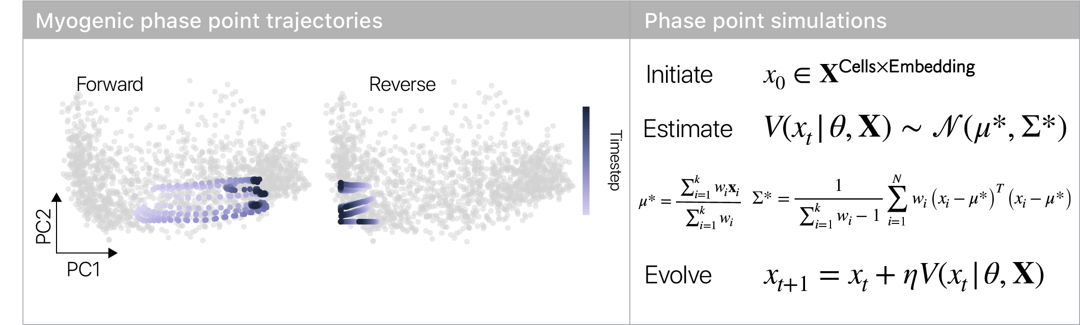 Phase simulations